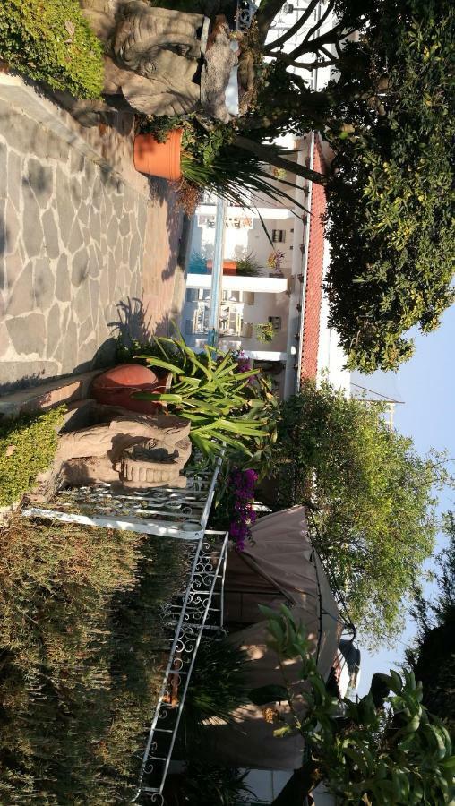 Hotel La Baronesa テキスキアパン エクステリア 写真
